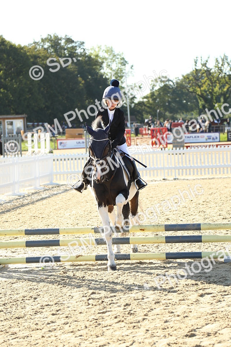SBM_35888 - J5 - Junior Pony 50cm Championship