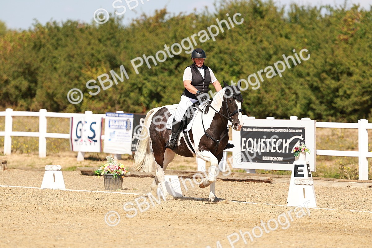 SBM_018274 - Class 9 - N5 Bronze 11.57.13.07