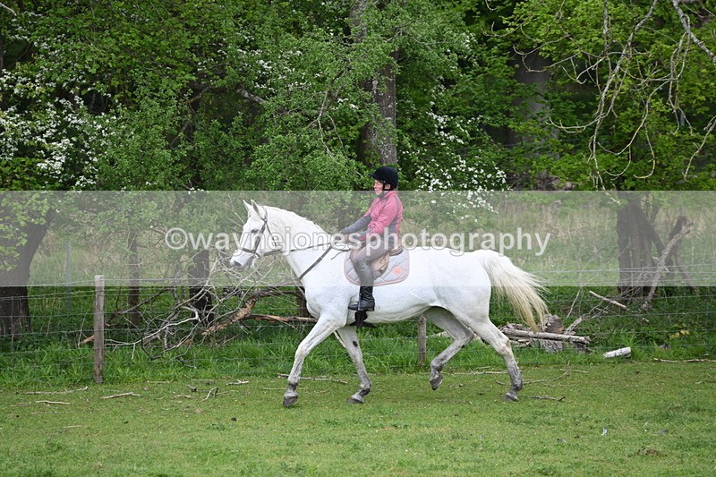 WJ6_3156 - A camera