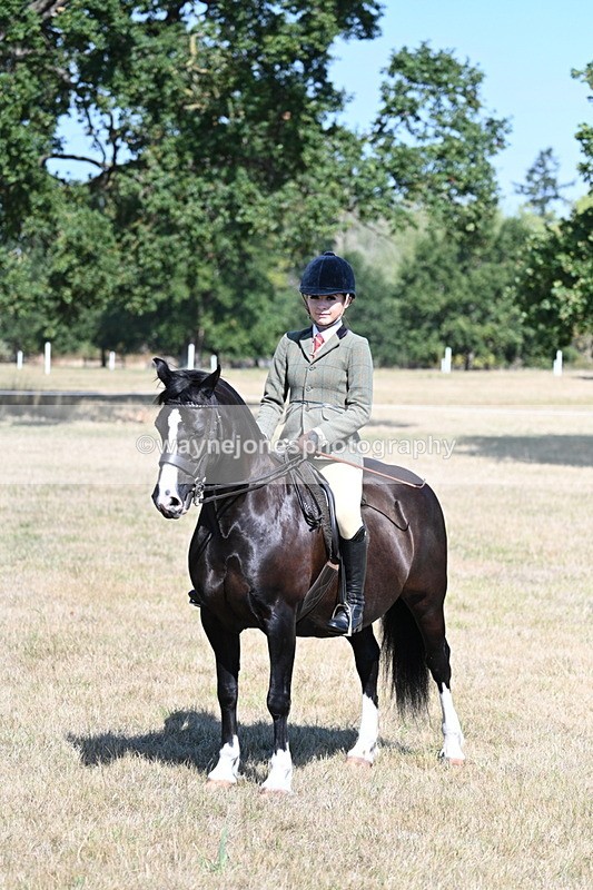 WJ7_4092 - Class 9 Mountain & Moorland Ridden