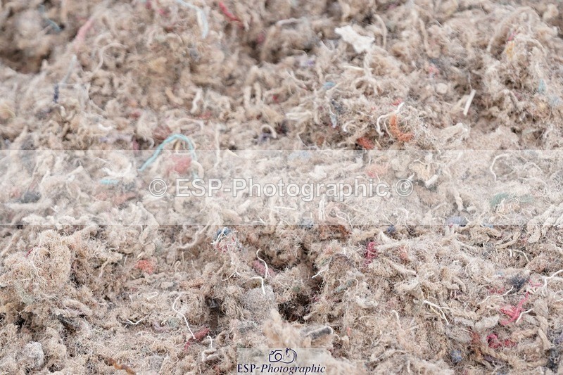 250505-120258-04276 - Cls 18+19 Club and Schools 60cm