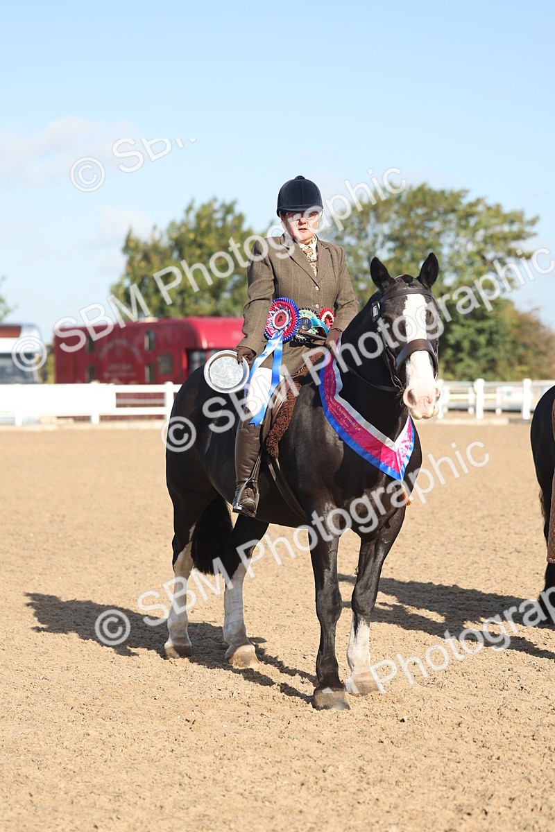 SBM_22233 - Class 802 - Ridden Groom Helpers Class