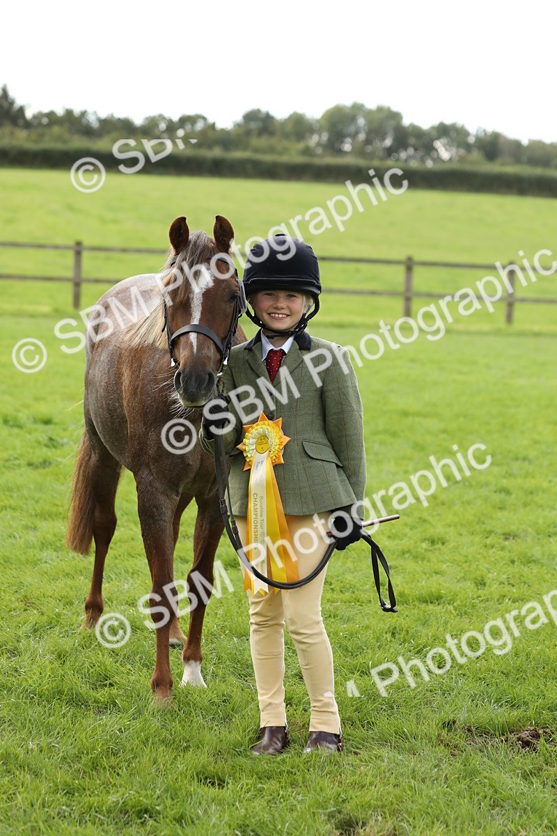 SBM_62869 - S46 - Mountain & Moorland In Hand Small Breeds