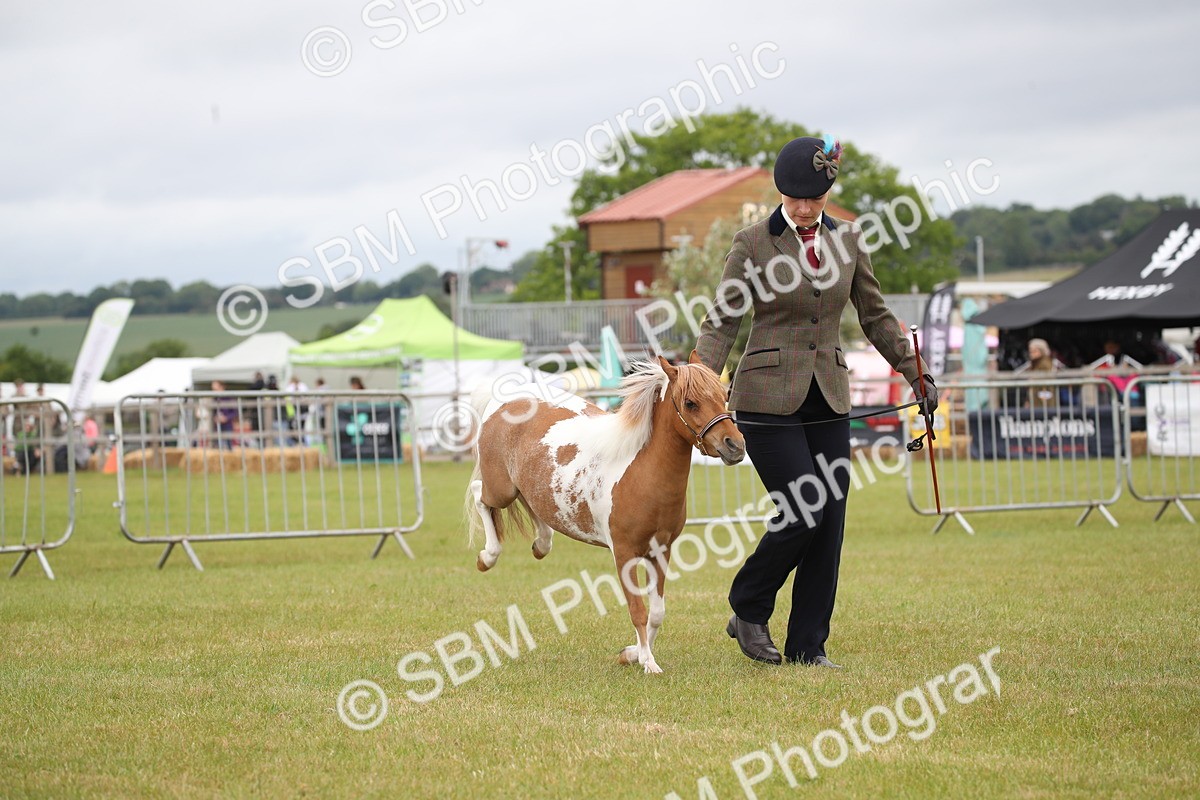 SBM_03996 - Class 23-25 - British Miniature Horse of the Year