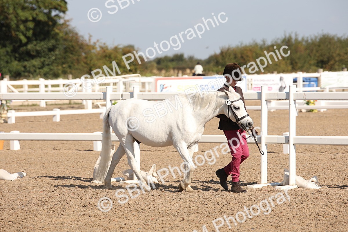 SBM_02657 - Class 16 IH M&M Wildcard