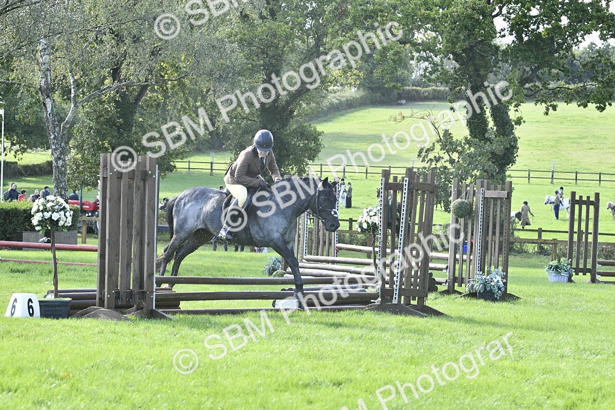 SBM_38154 - S31 - Novice & Newcomer Working Hunter Pony