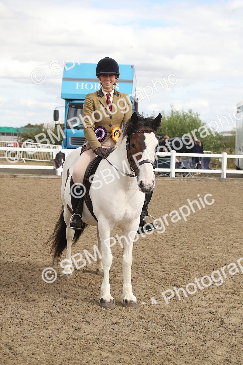 SBM_15253 - Class 506a - Working Veteran - 50cm (15-19)