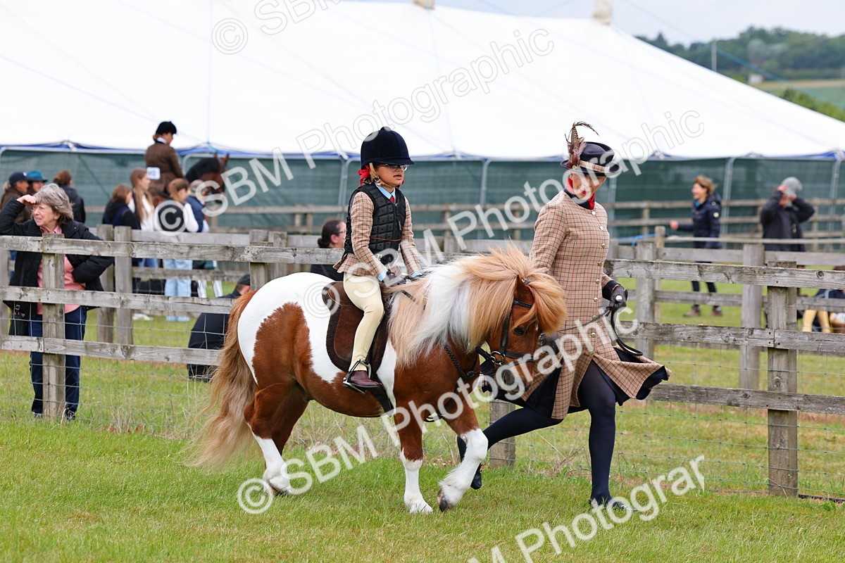 SBM_08089 - Class 42-43 - LIHS BSPS Heritage Working Sports Pony