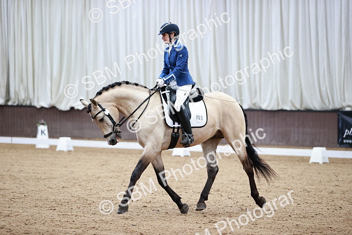 SBM_000855 - Class 2-5-4-6 - Paso Doble-Golega-Novato-Sevilla - FSM