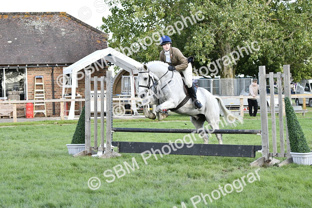 SBM_52139 - S35 - Working Hunter & Working Show Horse
