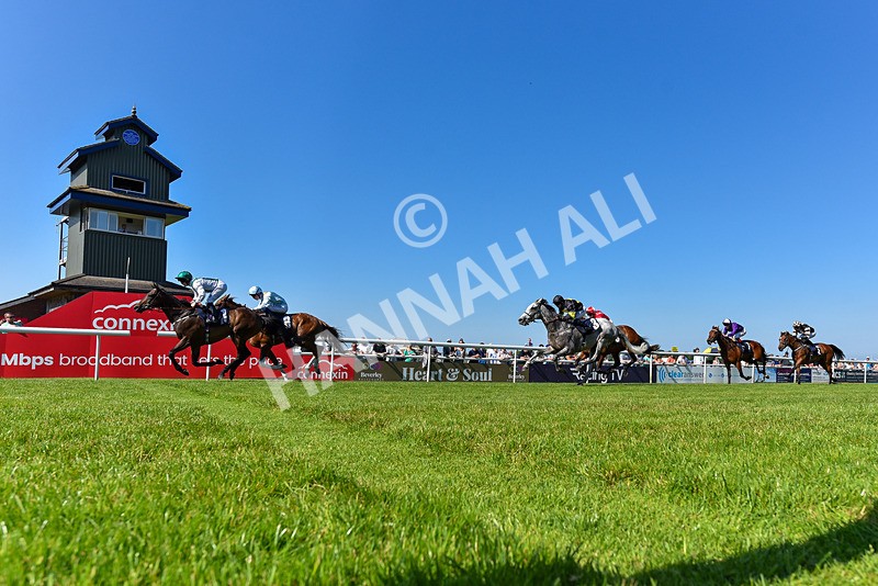 250624-Race 6-Cockalorum-9435 - Race 6