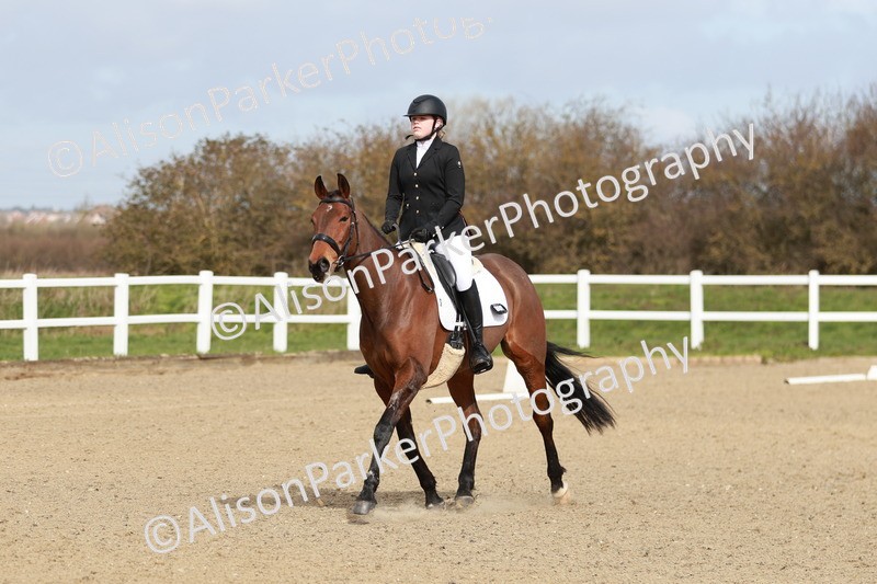 20260314-1141 - DR2 - Intro 3