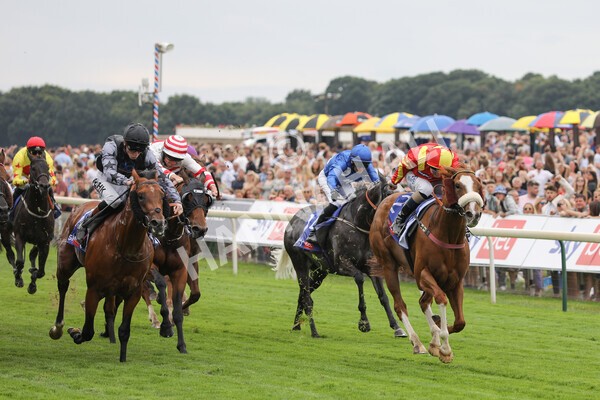 yr23072022r2-25 - Race 2 2.40pm Sky Bet Dash