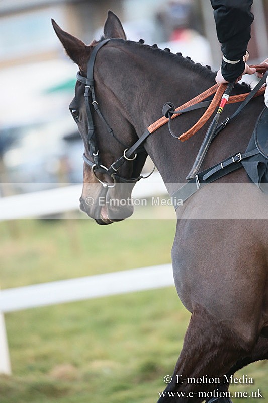 PtP 170219 -707 - Combined Services Point-To-Point Larkhill 17/02/19