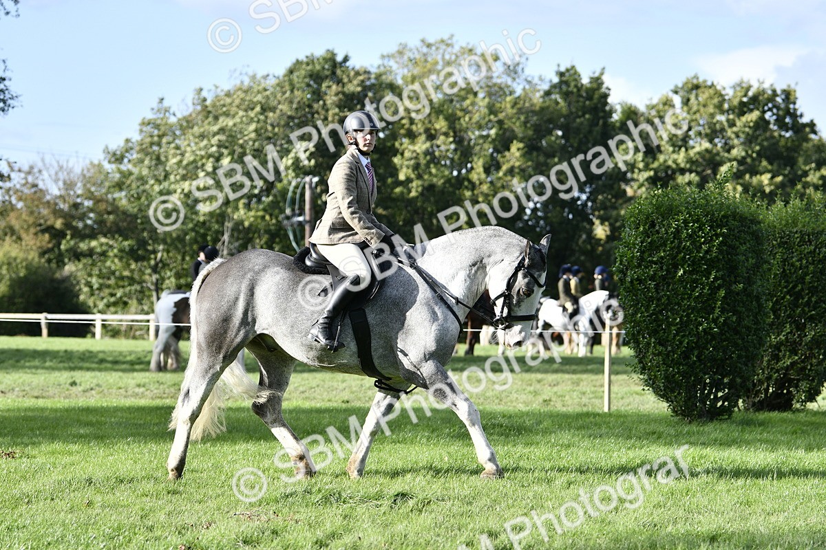 SBM_52210 - S35 - Working Hunter & Working Show Horse
