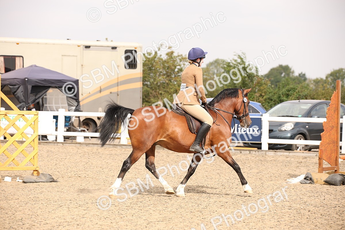 SBM_12237 - Class 405a - M&M Working Veteran 50cm (15-19)