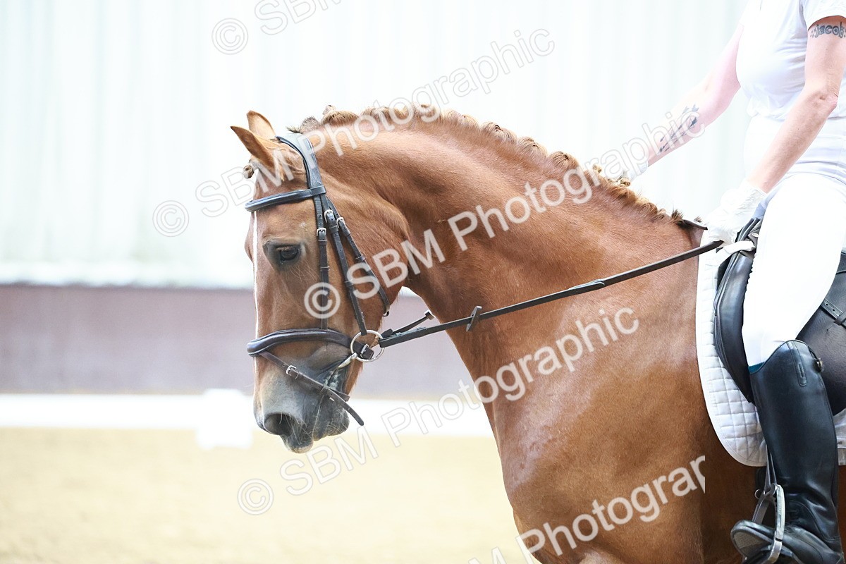 0B8A8925 - Class 3 - Prelim 1