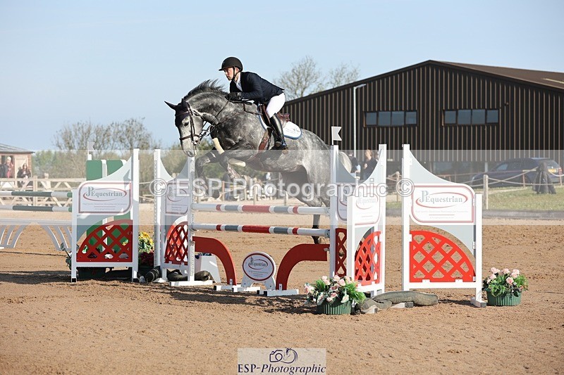 250427-084025-14581 - Cls 28 Young Horse 5yr old