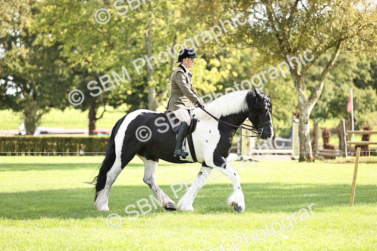 SBM_26368 - S6 - Novice & Newcomers Ridden Horse