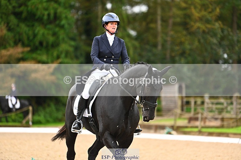 231021-115221-15002 - 343-MIDNIGHT.ROLLERCOASTER-Alison.Lidstone-DR