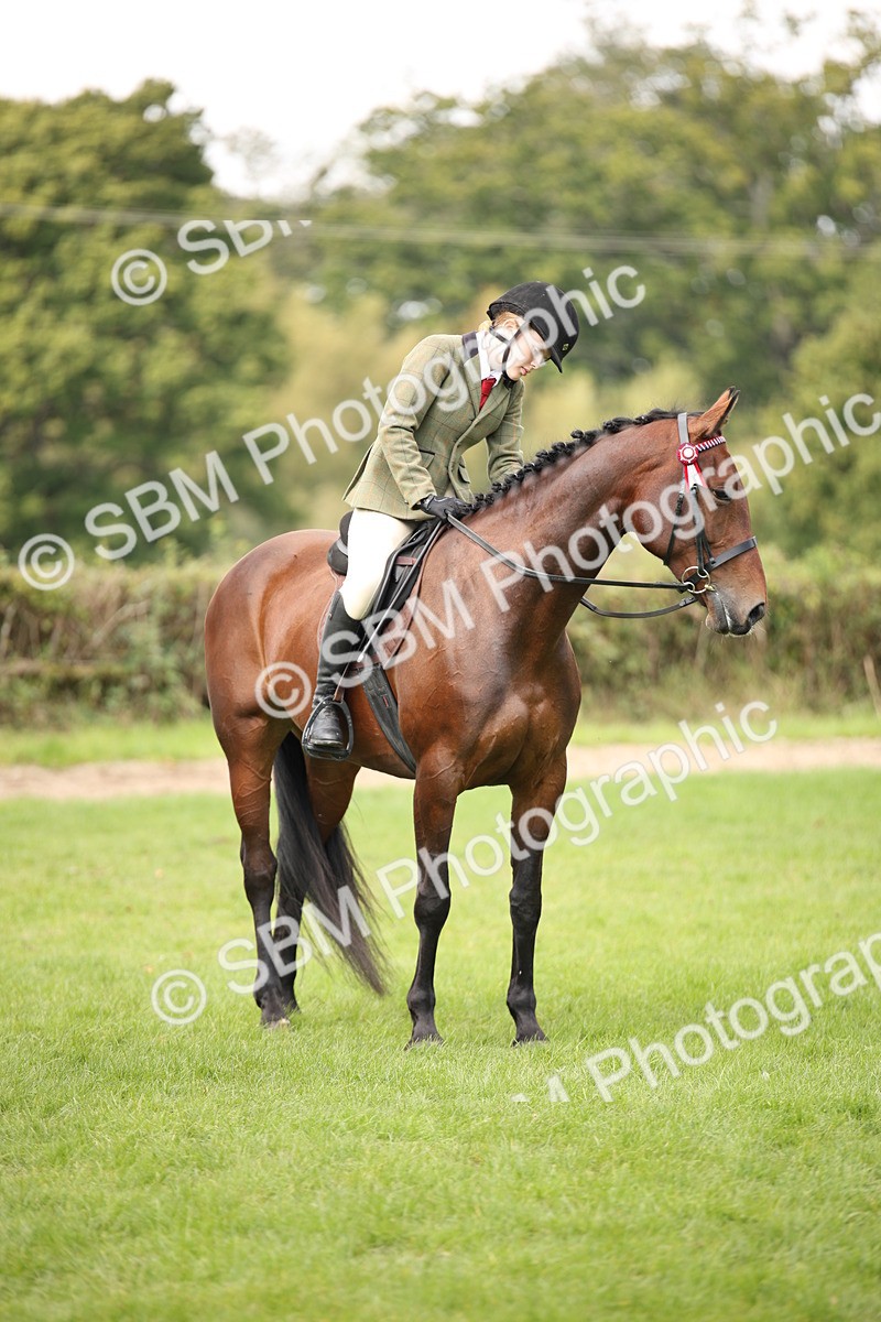 SBM_65959 - S64 - Riding Horse & Hack & Thoroughbred Ridden