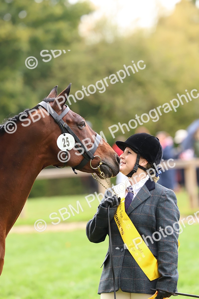 SBM_41758 - S26 - Mature Veteran In Hand