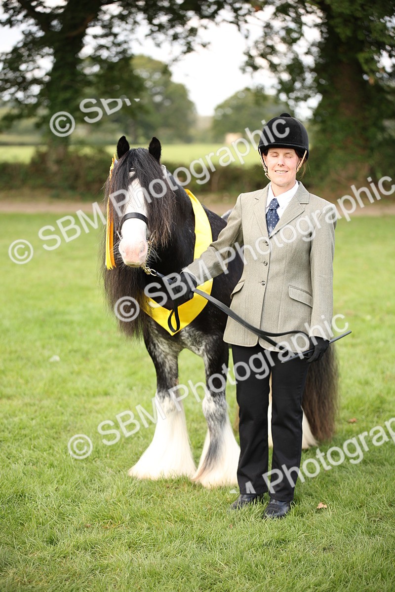 SBM_62310 - S55 - Traditional Cob In Hand