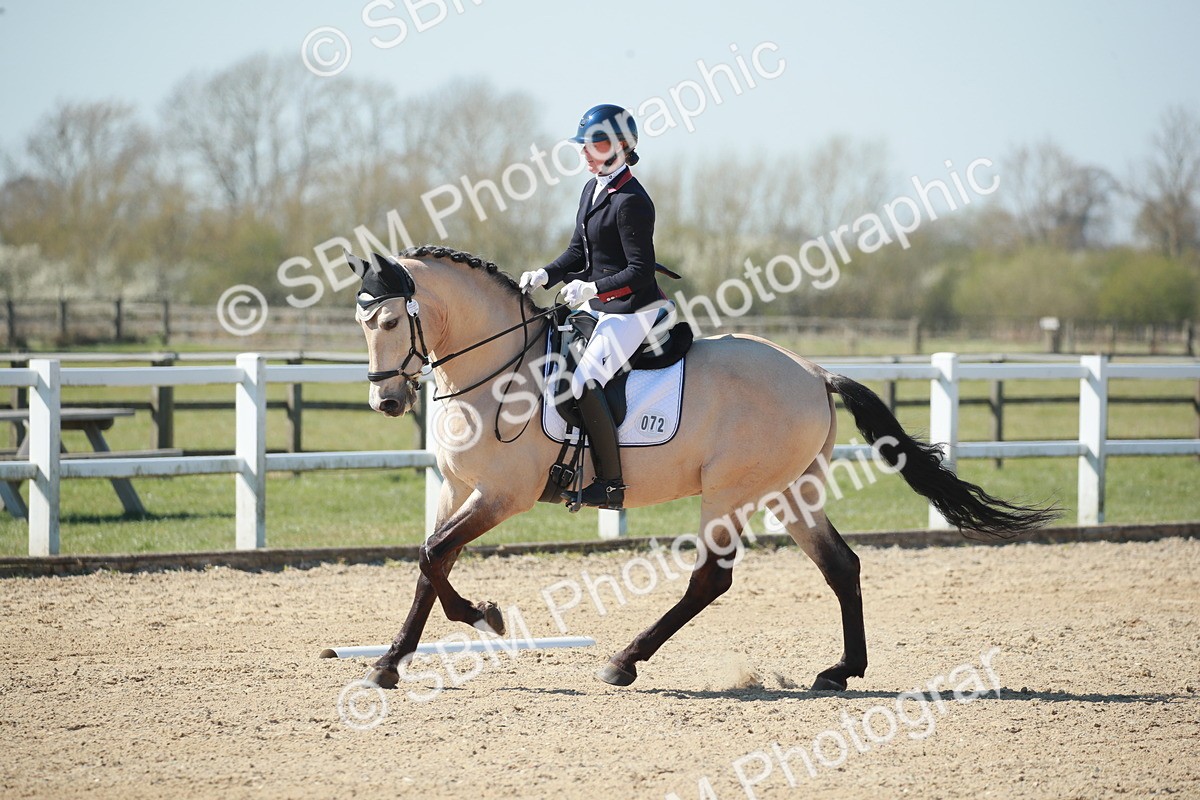 SJ3_1038 - Class 2-5-4-6-7 - Paso Doble-Golega-Sevilla-Lisboa-Novato