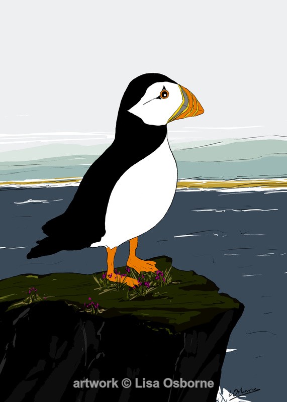 Puffin - DIGITAL ARTWORK