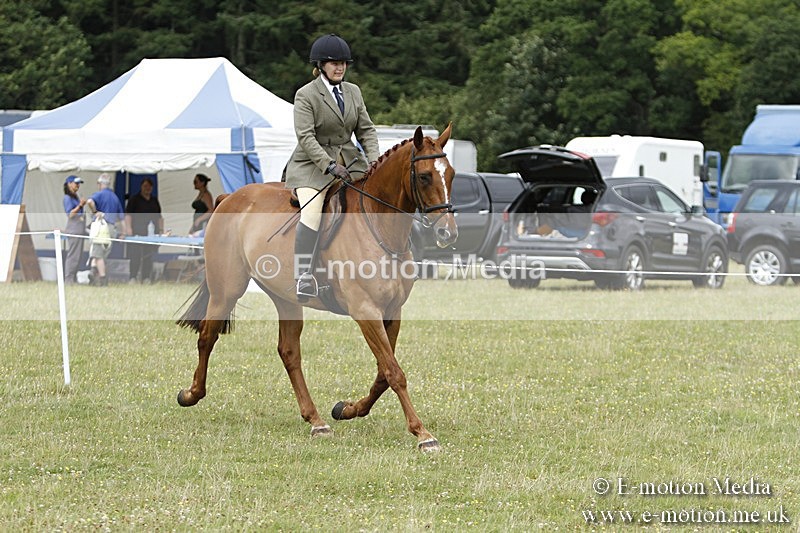 BVR160717-2236 - Ring 3 BVRC Show 16/07/17