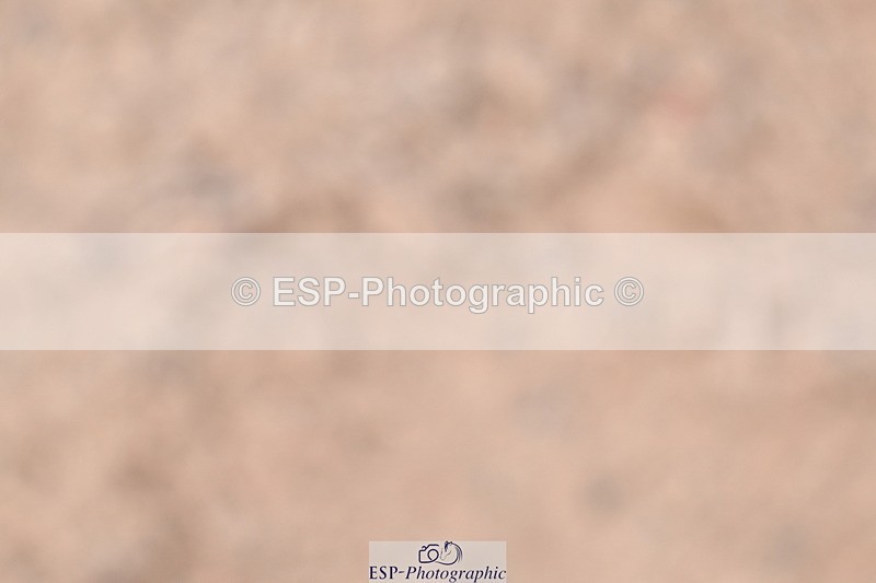 260923B-132228-00377 - Cls 04 Snr 1.05m Open