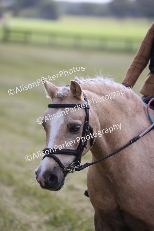 20260614-0468 - Class 20 - Beginners Working Hunter Pony