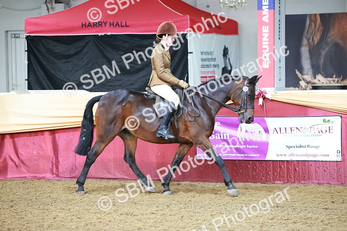 SBM_11797 - Class 102 - Equitation (Best Rider) Adult