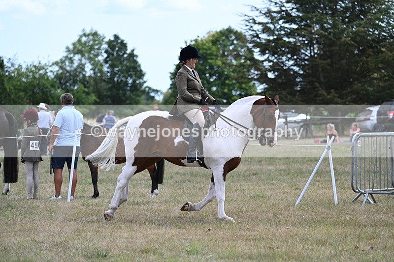 WJ7_5617 - Class 12 Ridden Cob