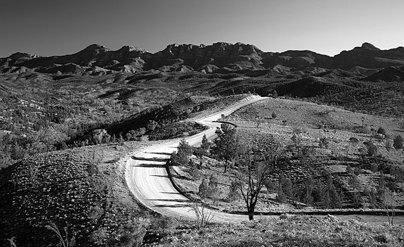 Razorback Mono 3-4172 - FLINDERS RANGES PHOTOS