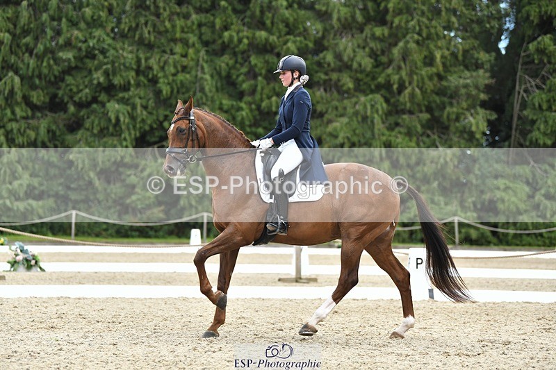 230812-141020-04620 - Cls 7 FEI PSG Bronze