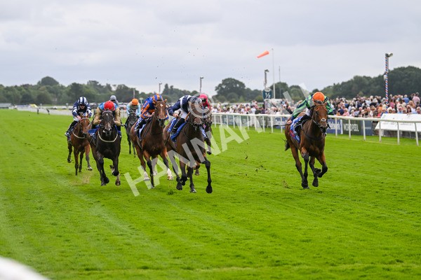 220824-Race 1-Celandine-6582 - Race 1 1.50pm Sky Bet Lowther Stakes
