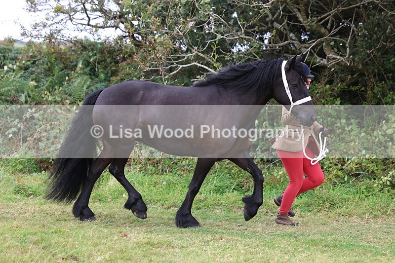 3E7A4555 - Class 16: Best Grass Kept