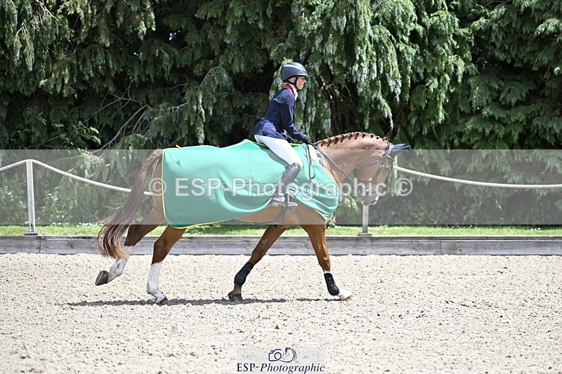 250525A-132012-17669 - Presentations Section B CCI 3 Star Long