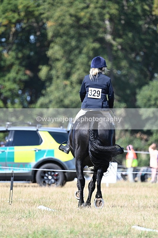 WJ7_9881 - Time 11:03 to 11:28