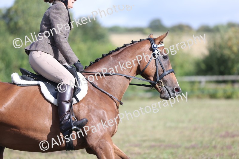20250831-0922 - Class 14 - Ex Racehorse