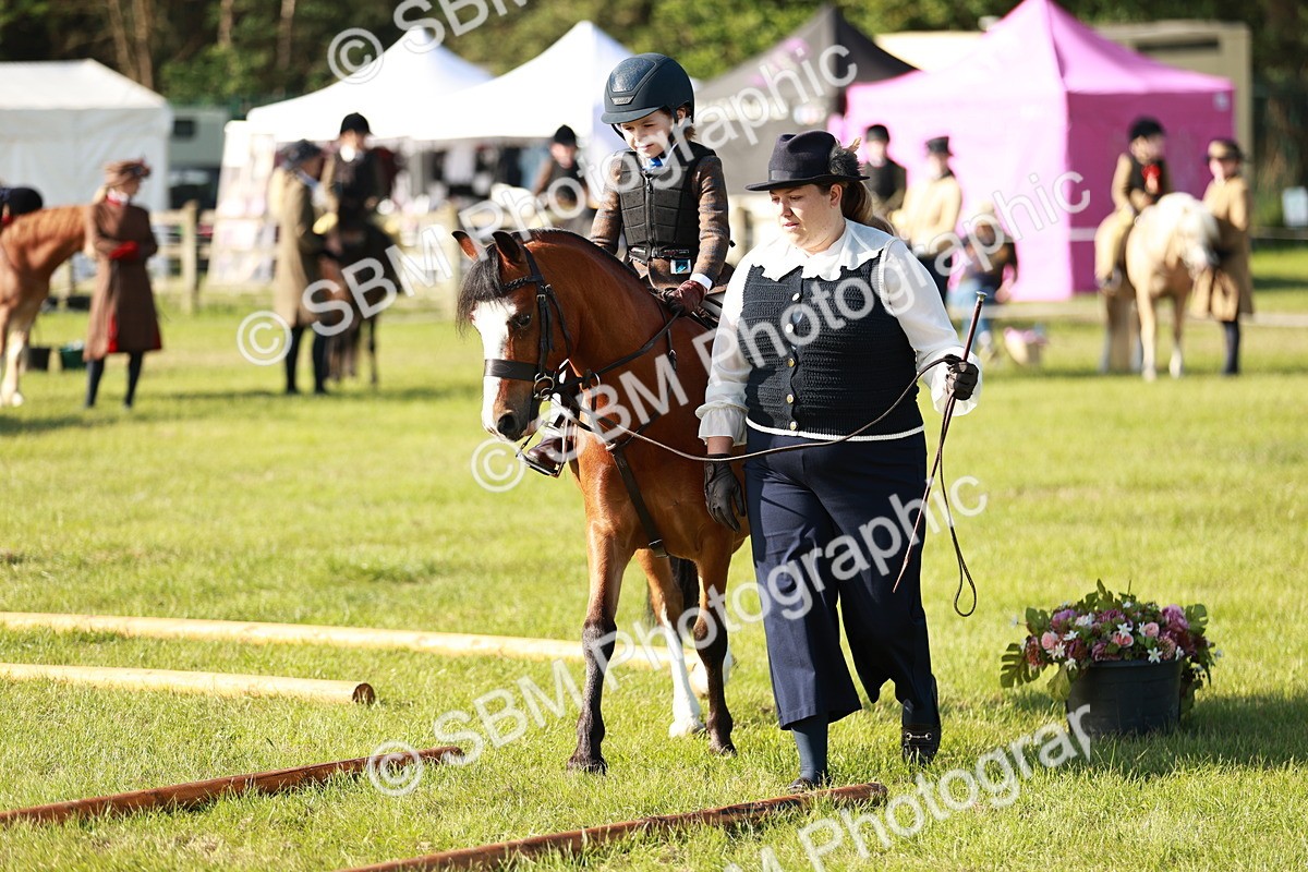 SBM_11143 - Class 106-107 - BSPS LIHS Working Sports Pony