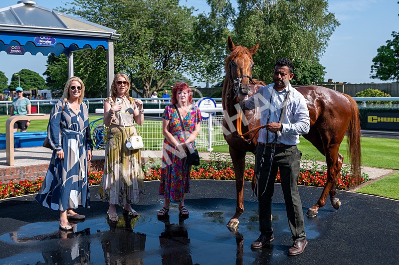 230626-Race 5-Percys Daydream-3413