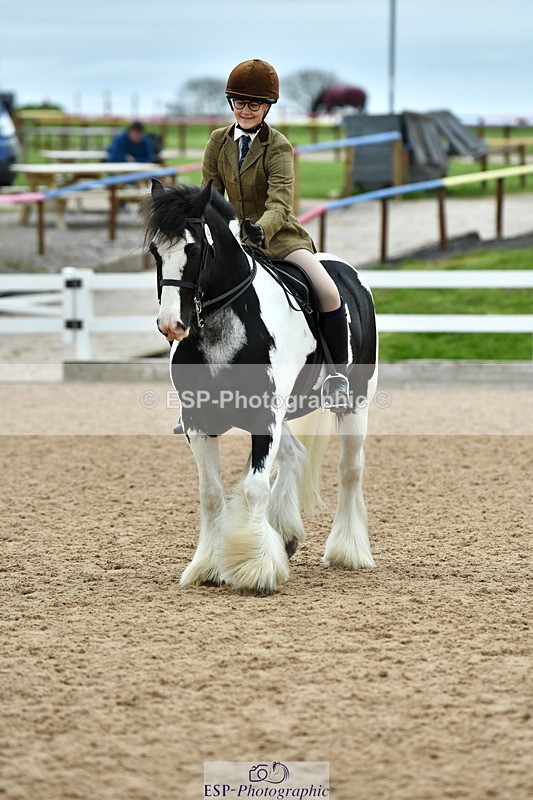 230416A-120015-04274 - Cls 72+73+69 Welsh, Trad Cob and Foreign