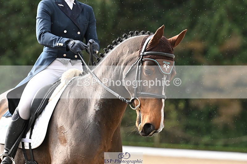 251023A-104230-01523 - B-131-Gemma.Gurvidi