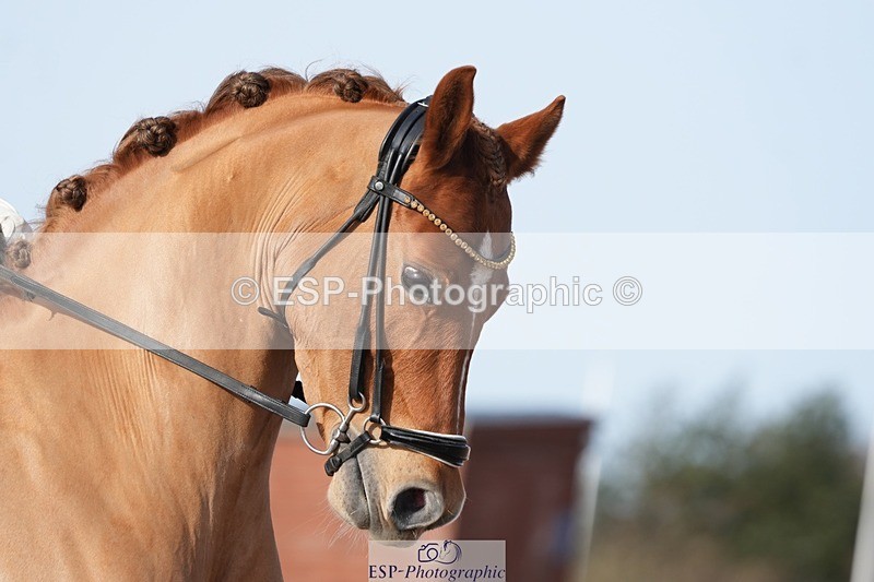 260214-133458-04242 - 123-Avery.Maude