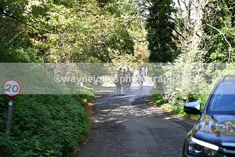 WJ7_6041 - Hounds Water Crossing