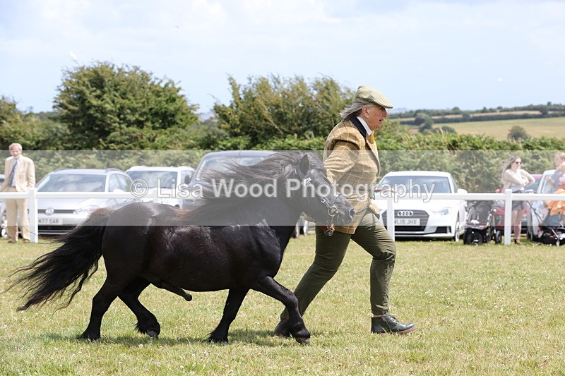 1X9A4847 - Class 35: Veteran In Hand