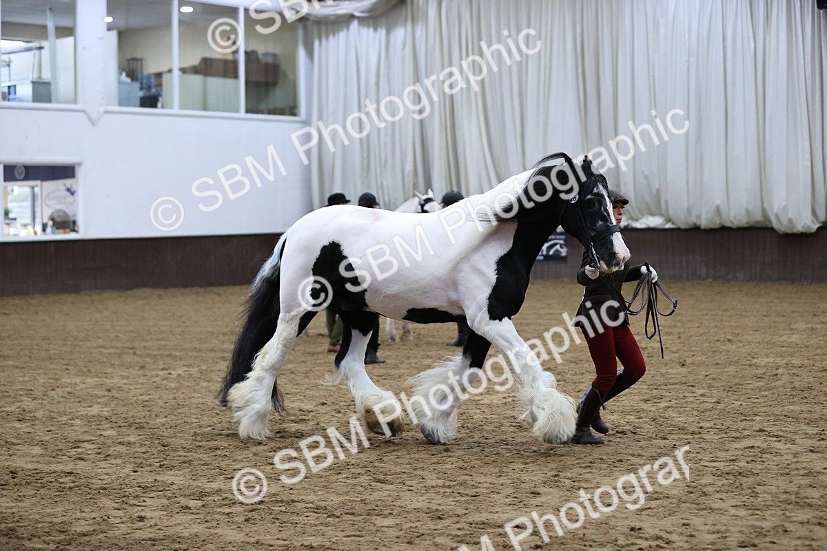 SBM_5647 - Class 40 - RESS In Hand Qualifier