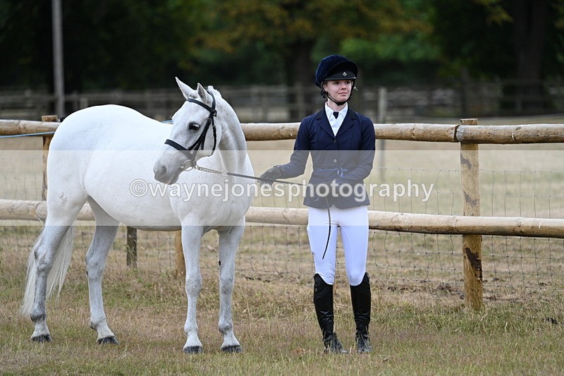 WJ7_8802 - Class 4a Prettiest Mare 14.2hh and over